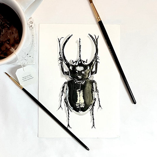 Insect Art Collecting: Tips for Starting Your Own Collection