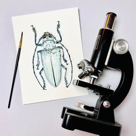 Science-Themed Office Décor Ideas
