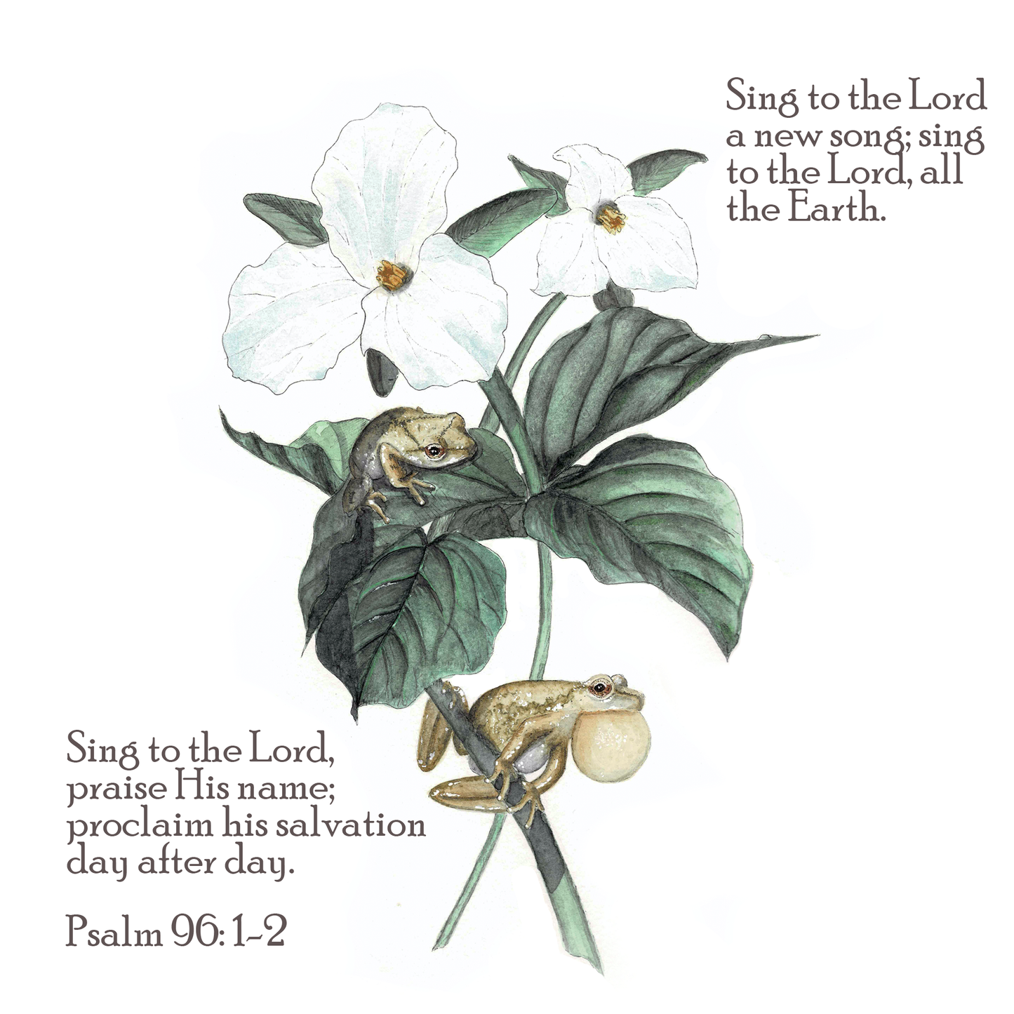Spring Peeper Scripture Art Print - Psalm 96:1-2