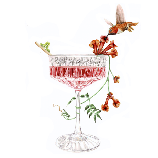 Hummingbird & Cocktail Art Print - Vera