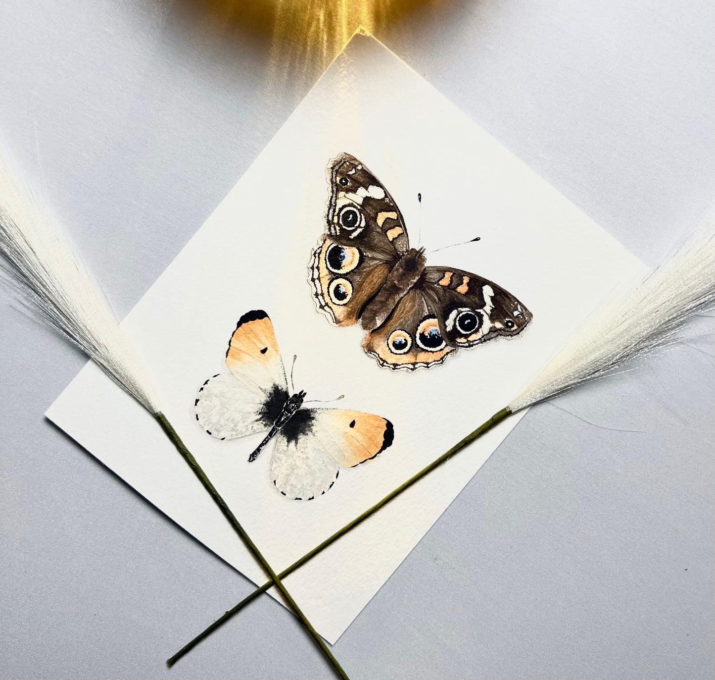 Buckeye & Orangetip Butterfly Art Print - Jophiel & Julius