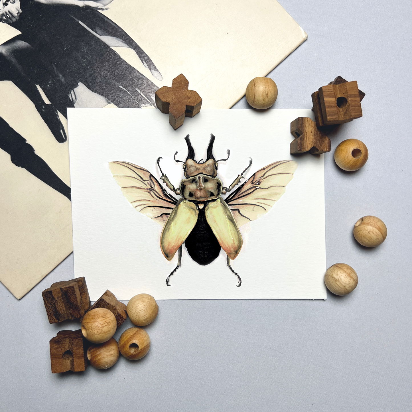 Stag Beetle Art Print - Augustus