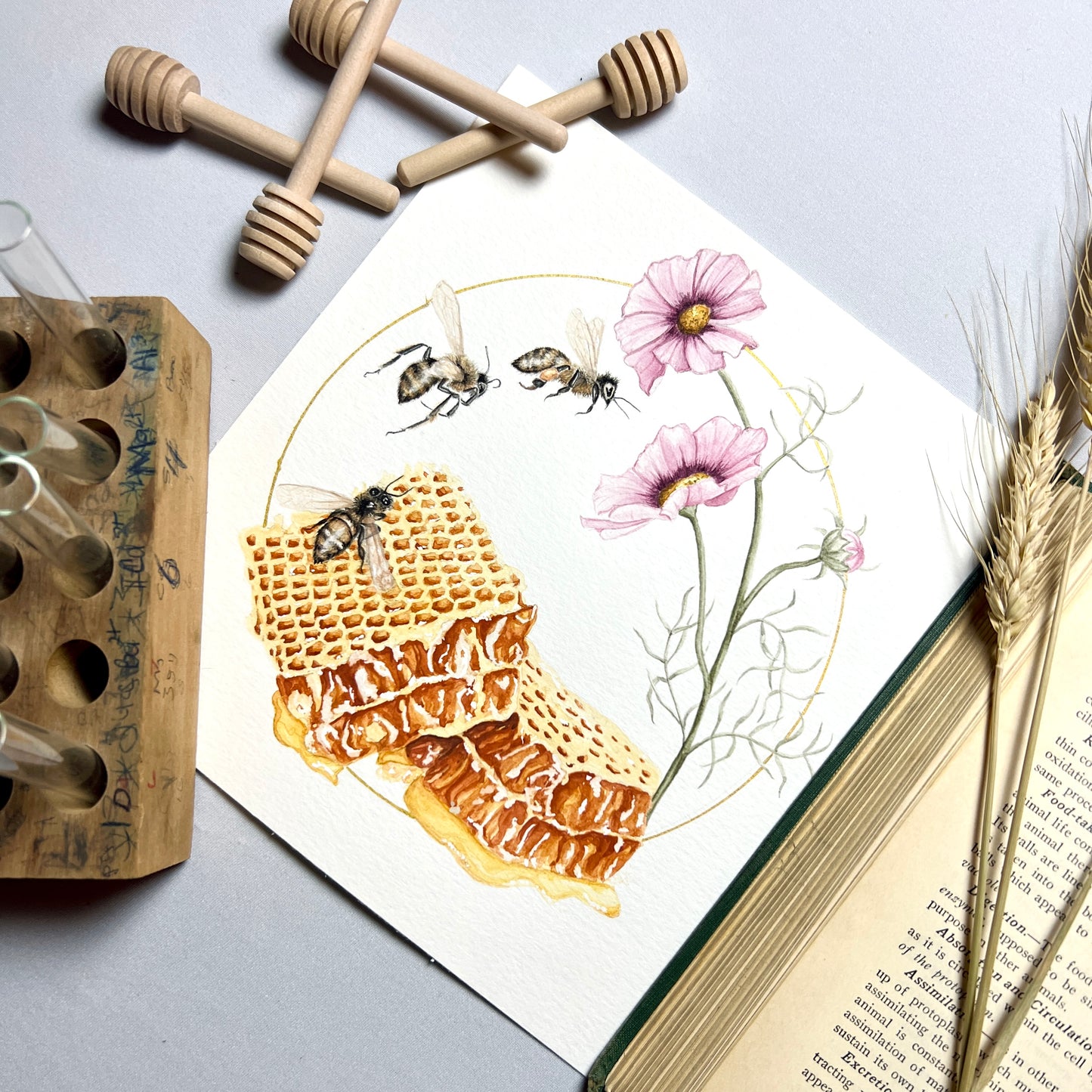 Honeybee Art Print - Miel, Melite, & Asal