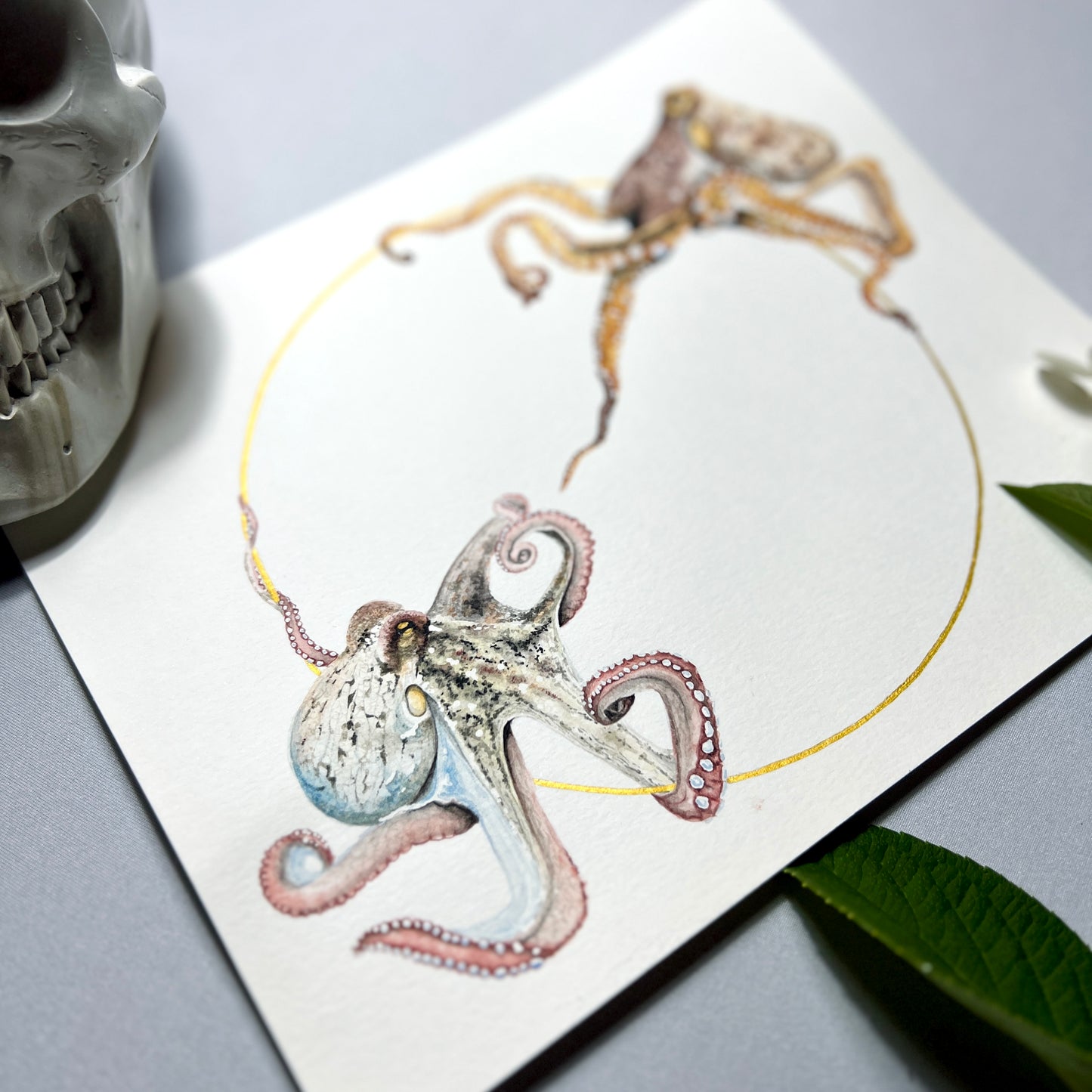 Octopus Art Print - Sol & Lune