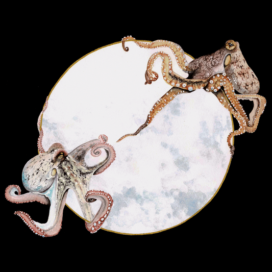 Octopus Art Print (Dark) - Sol & Lune