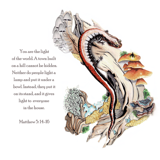 Scripture Firefly & Salamander Art Print - Matthew 5:14-16