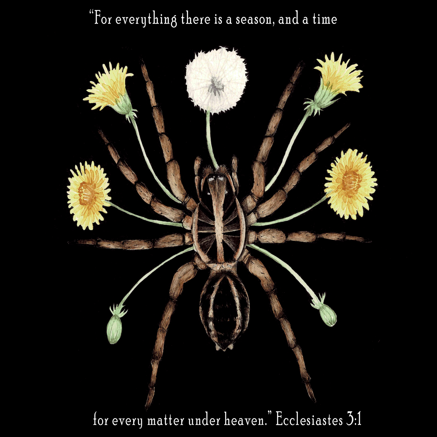 Wolf Spider Scripture Art Print - Ecclesiastes 3:1