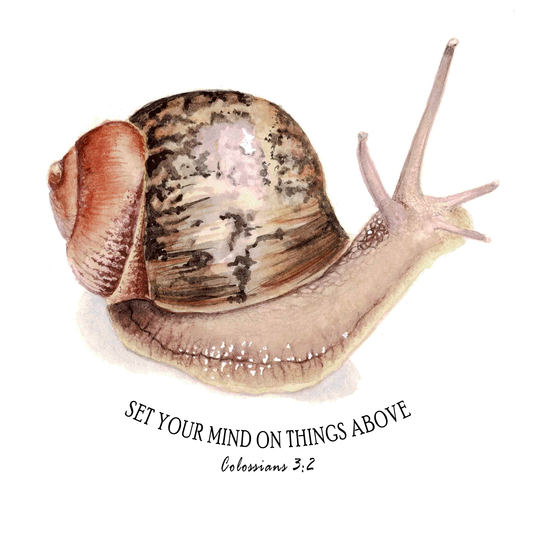 Snail Scripture Art Print - Colossians 3:2