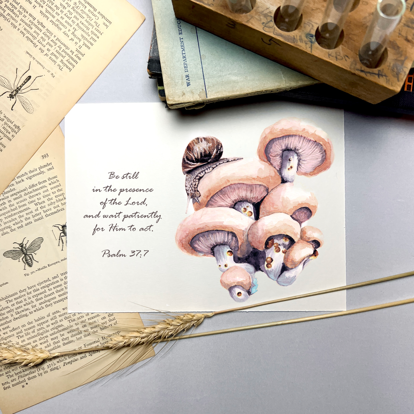 Snail and Mushroom Scripture Art Print - Psalm 37:7