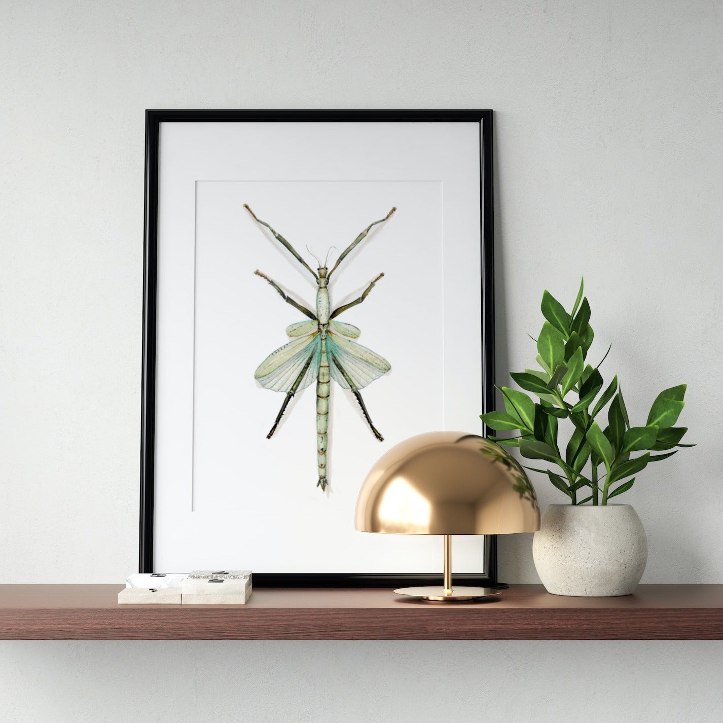 Stick Insect Art Print - Orin