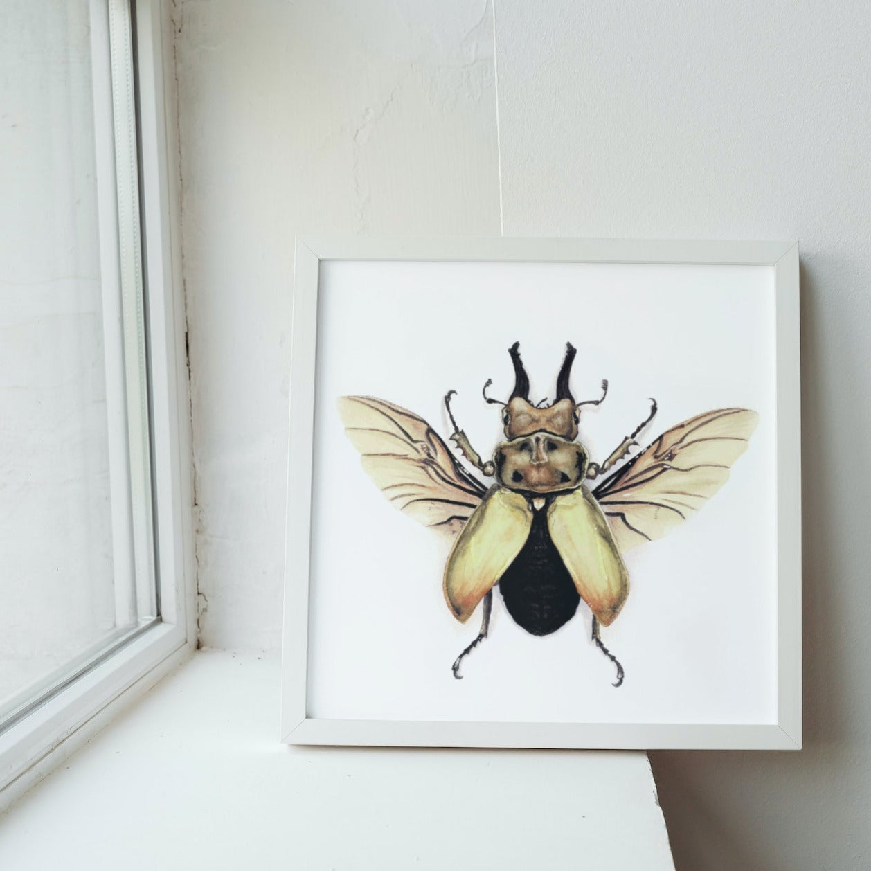 Stag Beetle Art Print - Augustus