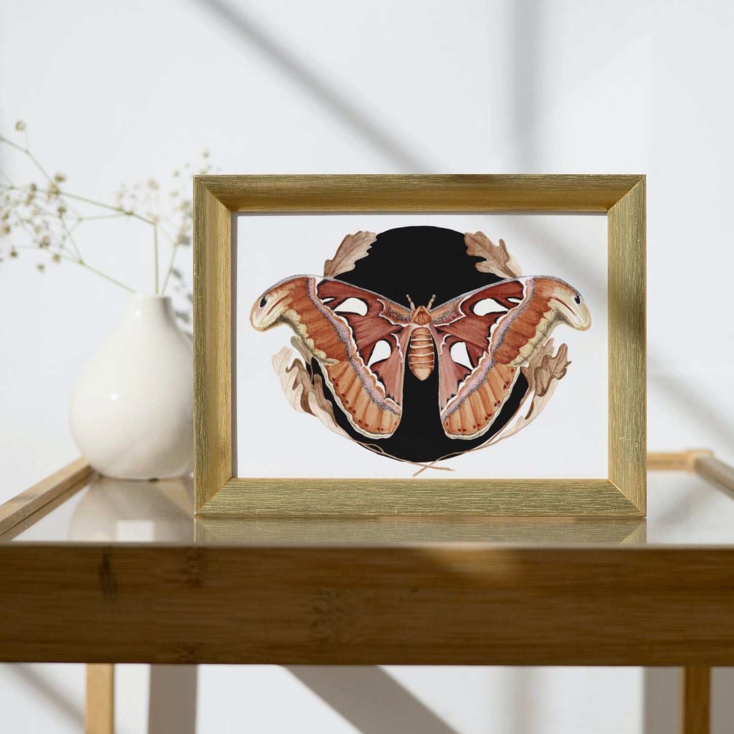 Atlas Moth Art Print (Dark) - Maple
