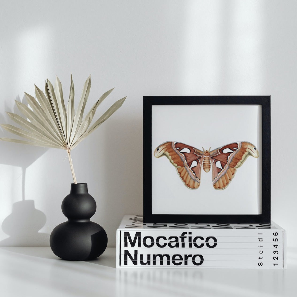 Atlas Moth Art Print - Maple