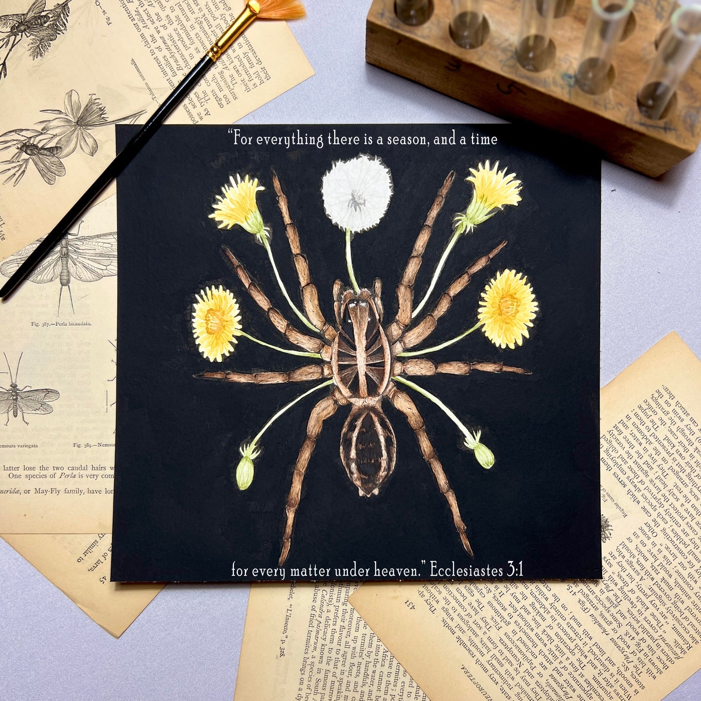 Wolf Spider Scripture Art Print - Ecclesiastes 3:1