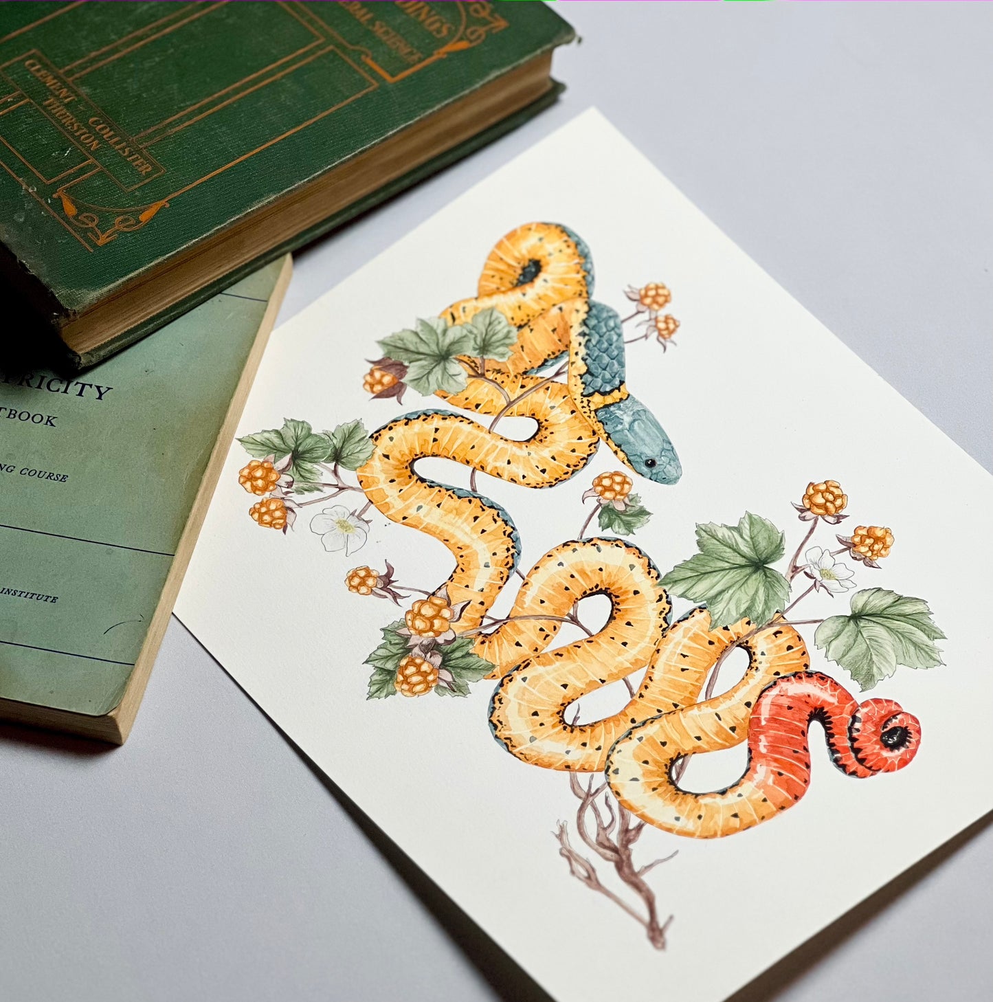 Ring-Necked Snake Art Print - Opal