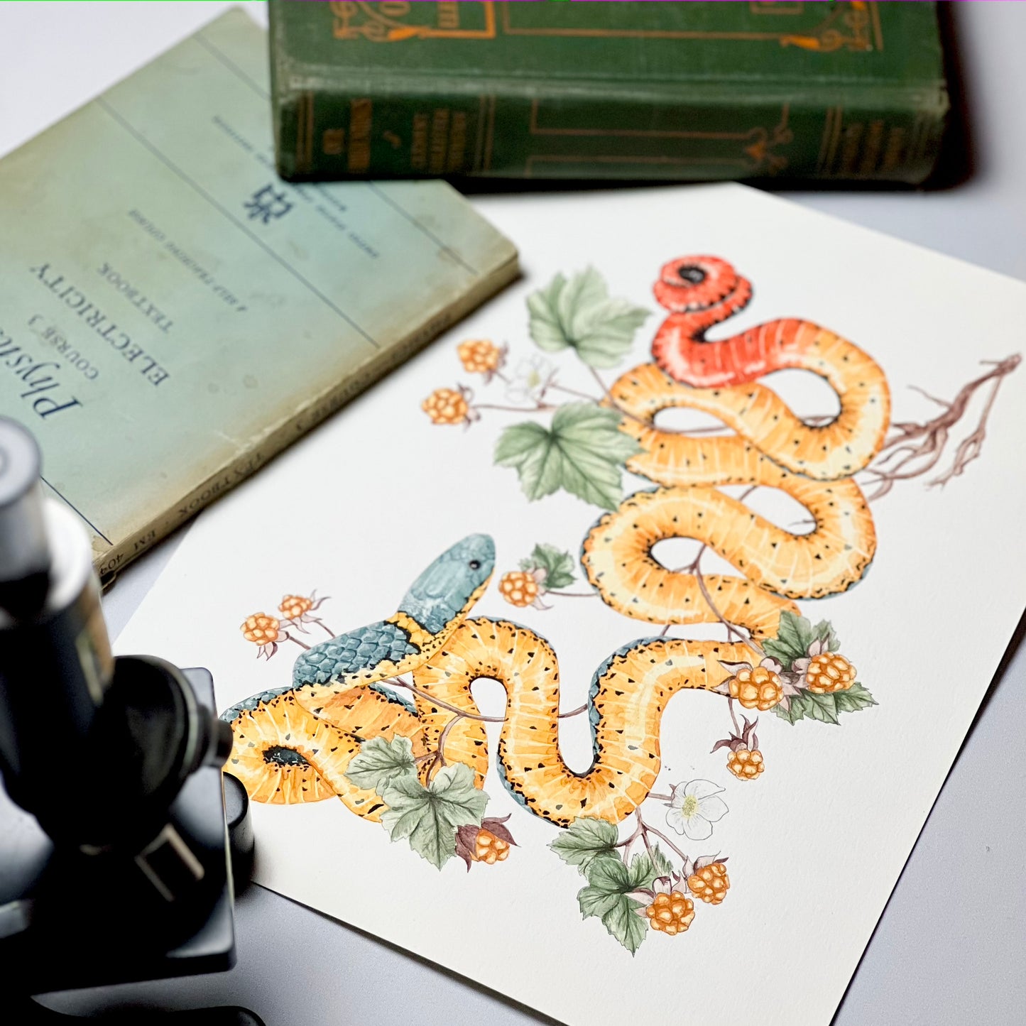 Ring-Necked Snake Art Print - Opal