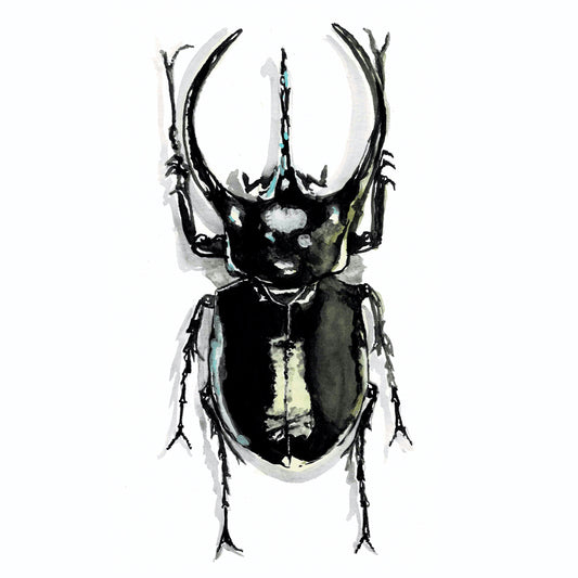 Rhinoceros Beetle Art Print - Cassius