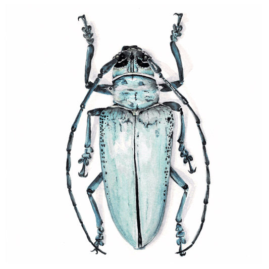 Longhorn Beetle Art Print- Idris
