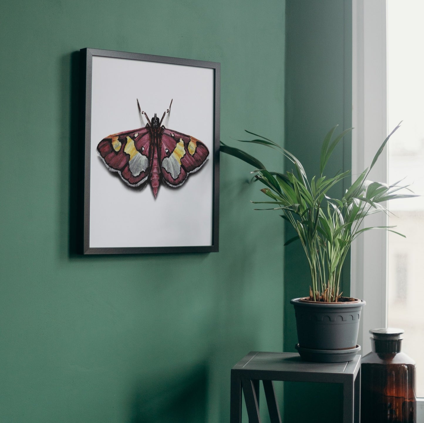 Colomychus Moth Art Print - Juno