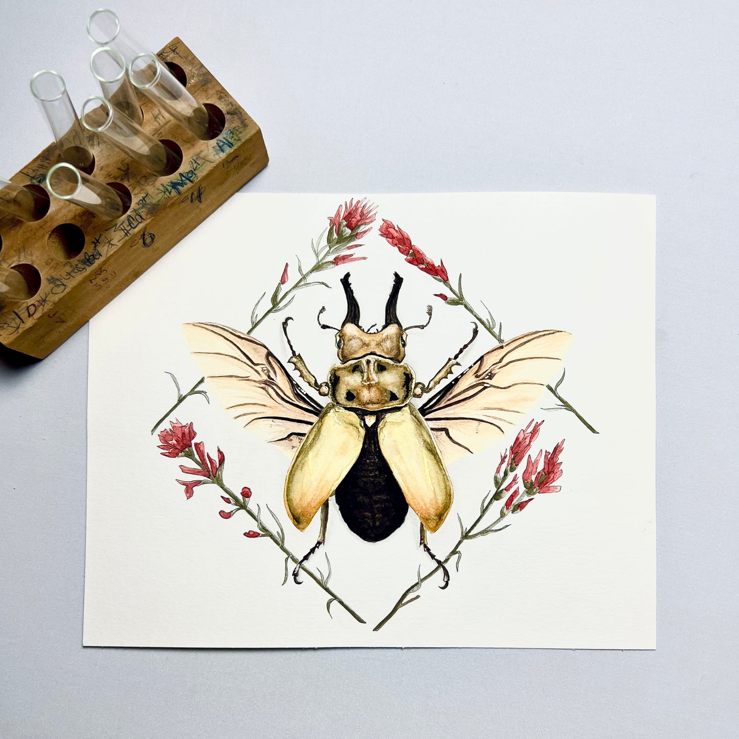 Stag Beetle Art Print - Aurelian